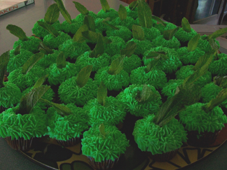 Chocolate cupcakes with mint flavored icing and a mint leaf