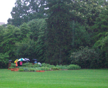 White House Veggie Garden