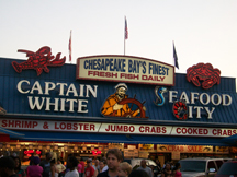 Fishmarket on the River for a crab run