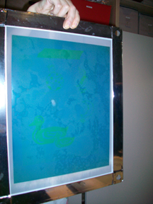 My burned screen - with the emulsion still in