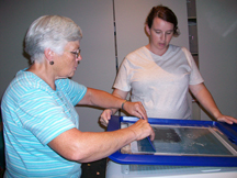 Rosie (my mom) duing the pull