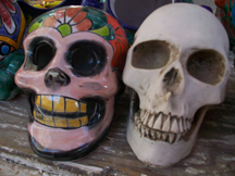 Painted skulls