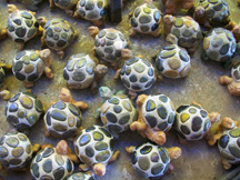 Little tiny turtles made from stones