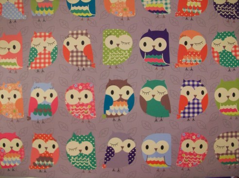 Hoot Hoot - owl pattern on a pocket folder