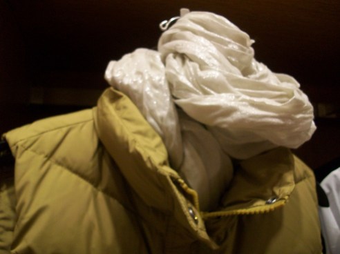 iridescent scarf paired with a vest