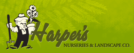 Screen shot 2014-11-26 at 4.10.29 AM