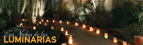 DBG0921-Luminaria-610x194