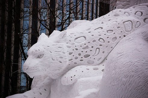 snow-leopard-qii4jc