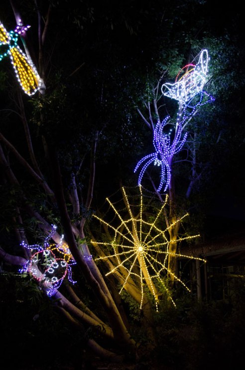 zoolights-06