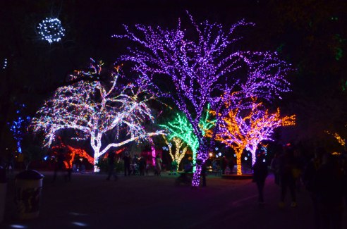 zoolights-08