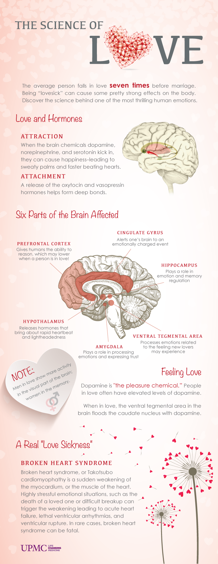 ScienceofLove1