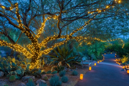 21306081660_1b3c211938_o