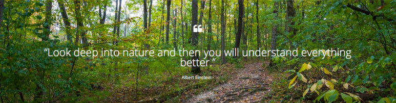 Screen Shot 2016-05-10 at 1.49.22 PM