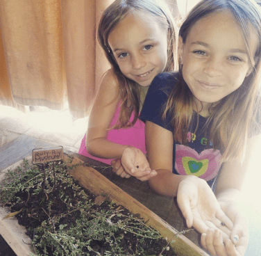 Screen Shot 2016-05-10 at 11.38.04 AM