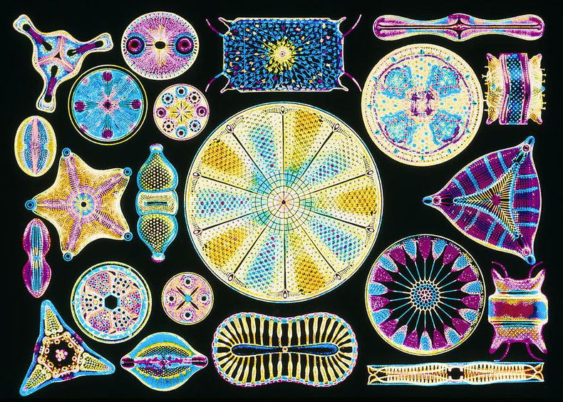 bab3f3e147d2b6e6a81a42a42f0bb75b