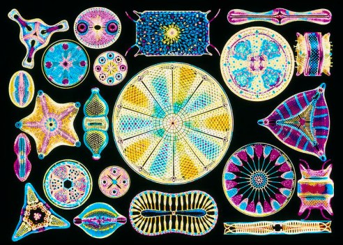 bab3f3e147d2b6e6a81a42a42f0bb75b