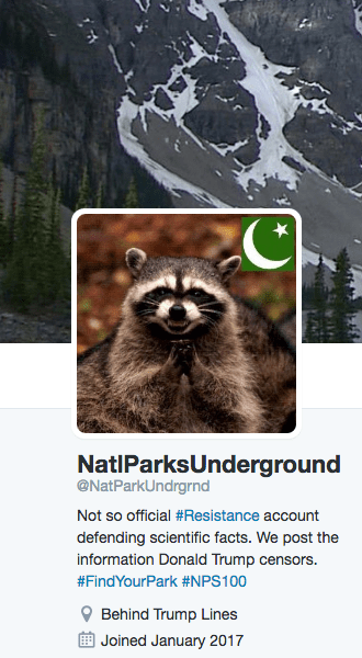 screen-shot-2017-02-01-at-8-14-27-am